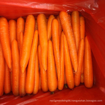 A Grade Chinese Fresh Carrot on Sale